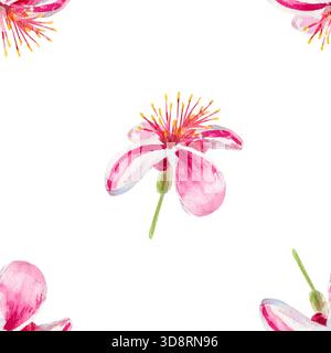 Feijoa-Blüten. Nahtloses Aquarellmuster mit Feijoa-Blüten isoliert auf weiß. Zum Bedrucken von Stoffen, Tapeten, Papier, Vorhängen, Drucken, Wrappin Stockfoto