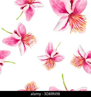 Feijoa-Blüten. Nahtloses Aquarellmuster mit Feijoa-Blüten isoliert auf weiß. Zum Bedrucken von Stoffen, Tapeten, Papier, Vorhängen, Drucken, Wrappin Stockfoto