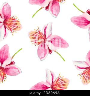 Feijoa-Blüten. Nahtloses Aquarellmuster mit Feijoa-Blüten isoliert auf weiß. Zum Bedrucken von Stoffen, Tapeten, Papier, Vorhängen, Drucken, Wrappin Stockfoto