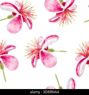 Feijoa-Blüten. Nahtloses Aquarellmuster mit Feijoa-Blüten isoliert auf weiß. Zum Bedrucken von Stoffen, Tapeten, Papier, Vorhängen, Drucken, Wrappin Stockfoto