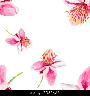 Feijoa-Blüten. Nahtloses Aquarellmuster mit Feijoa-Blüten isoliert auf weiß. Zum Bedrucken von Stoffen, Tapeten, Papier, Vorhängen, Drucken, Wrappin Stockfoto