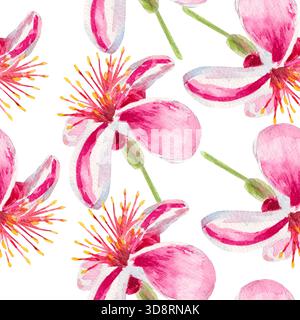 Feijoa-Blüten. Nahtloses Aquarellmuster mit Feijoa-Blüten isoliert auf weiß. Zum Bedrucken von Stoffen, Tapeten, Papier, Vorhängen, Drucken, Wrappin Stockfoto
