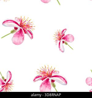 Feijoa-Blüten. Nahtloses Aquarellmuster mit Feijoa-Blüten isoliert auf weiß. Zum Bedrucken von Stoffen, Tapeten, Papier, Vorhängen, Drucken, Wrappin Stockfoto
