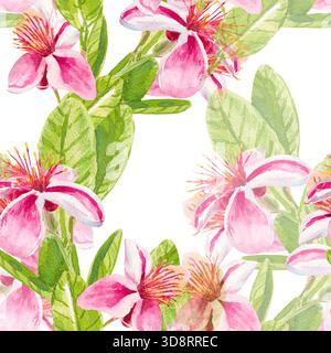 Feijoa-Blüten. Nahtloses Aquarellmuster mit Feijoa-Blüten und Blättern auf Zweigen isoliert auf weiß. Zum Bedrucken auf Stoff, Tapeten, Papier, Kubikmaterial Stockfoto