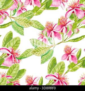 Feijoa-Blüten. Nahtloses Aquarellmuster mit Feijoa-Blüten und Blättern auf Zweigen isoliert auf weiß. Zum Bedrucken auf Stoff, Tapeten, Papier, Kubikmaterial Stockfoto