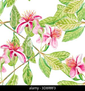 Feijoa-Blüten. Nahtloses Aquarellmuster mit Feijoa-Blüten und Blättern auf Zweigen isoliert auf weiß. Zum Bedrucken auf Stoff, Tapeten, Papier, Kubikmaterial Stockfoto