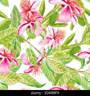 Feijoa-Blüten. Nahtloses Aquarellmuster mit Feijoa-Blüten und Blättern auf Zweigen isoliert auf weiß. Zum Bedrucken auf Stoff, Tapeten, Papier, Kubikmaterial Stockfoto