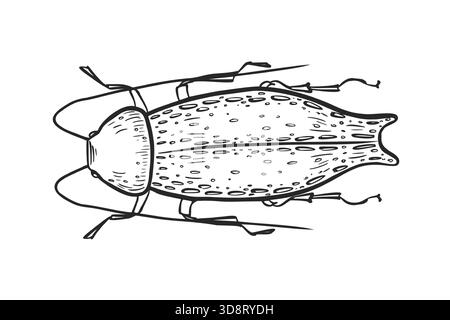 Verlängerte Käfer-Vektor-Illustration im schwarz-weißen Skizzenstil. Handgezeichnete stilisierte Insektengrafik für Natur- und Biologiedesign. Weevil-Kontur Stock Vektor