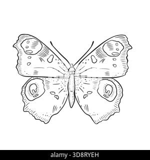 Hand gezeichnete Pfauauenauge Schmetterlingsvektor schwarz weiße Illustration. Dekorativer Schmetterling mit Augenflecken für Erwachsene zum Ausmalen von Büchern oder Kunstwerken Stock Vektor
