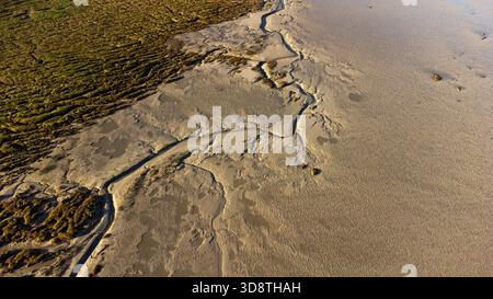 Aus der Vogelperspektive verwinkelte Gezeitenkanäle, die sich bei Ebbe durch das Wattenmeer im Marais du Chatelet schlängeln und so komplizierte natürliche Muster zwischen dem erzeugen Stockfoto