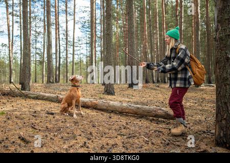 Erwachsene weibliche Spielerin und Trainingshund mit Stock im herbstlichen Kiefernwald am bewölkten Herbstwochenende. Stockfoto