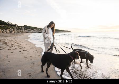 Frau und ihre zwei schwarzen Hunde laufen an einem Sandstrand mit Meereswellen entlang Stockfoto