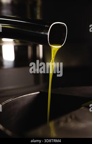 Frisches grünes Olivenöl, das nach dem Pressen aus dem Metallrohr fließt. Letzte Stufe der industriellen Produktion von nativem EVO-Öl extra. Stockfoto