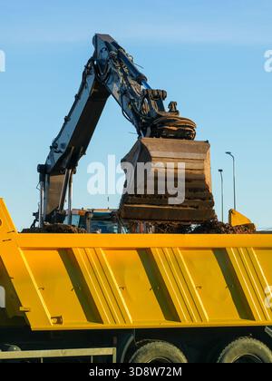 Bagger entlädt Erde an sonnigen Tagen auf der Baustelle in einen gelben Muldenkipper-Container Stockfoto