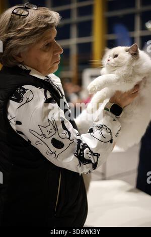 Frau in einem Katzenhemd mit einer majestätischen flauschigen weißen Katze Stockfoto