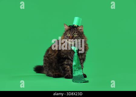 Niedliche Katze in Kobold Hut und Krawatte für die St. Patrick's Day Feier auf grünem Hintergrund Stockfoto