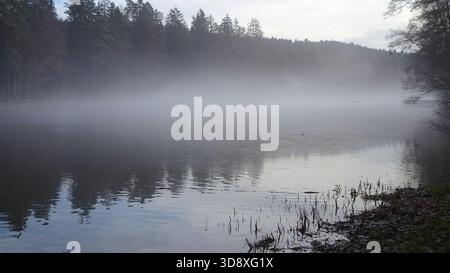 Sanfter Nebel zieht im Dezember über einen ruhigen Waldsee, der in einer ruhigen schwarz-weißen Szene gezeigt wird. Stockfoto
