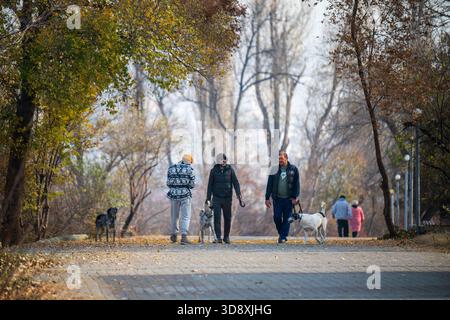 Jerewan Armenien 11.25.2025. Eine Gruppe von Menschen geht mit ihren Hunden in einem Park. Die Hunde haben verschiedene Größen und Rassen, und die Menschen sind unterschiedlich alt Stockfoto