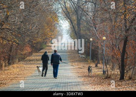 Jerewan Armenien 10.25.2025. Zwei Männer gehen mit ihren Hunden auf einem Pfad durch den Wald. Die Hunde sind an der Leine und laufen mit ihren Besitzern. Szene i Stockfoto