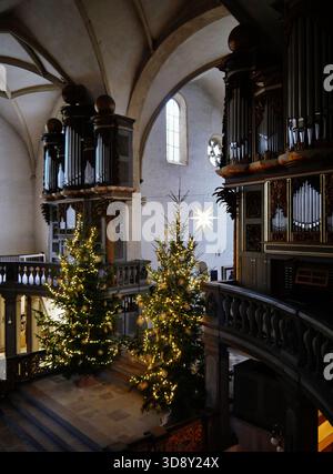 Orgel der Kathedrale von St. Peter & Paul, Zeitz, Burgenlandkreis, Sachsen-Anhalt, Deutschland Stockfoto