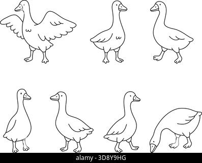 Gänseumrisse im Cartoon-Stil. Satz sauberer schwarzer Linien auf weißem Hintergrund Stock Vektor