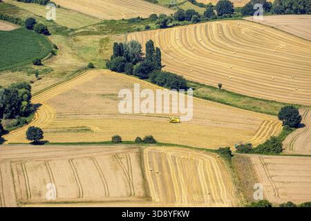 Erntezeit auf der Heiskampstraße zwischen Holthausen und Blankenstein, Mähdrescher, Landwirtschaft, Hattingen, Ruhrgebiet, Nordrhein-Westfalen Stockfoto