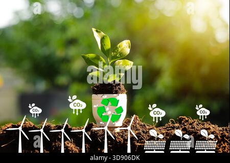 Ein grüner Sämling mit einem Recycling-Symbol, umgeben von Windturbinen, Solarpaneelen und Grafiken zur CO2-Reduktion, steht für erneuerbare Energien und Nachhaltigkeit Stockfoto
