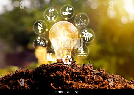 Eine leuchtende Glühbirne auf dem Boden, umgeben von Symbolen für Öko-Energie, steht für erneuerbare Energien, Nachhaltigkeit, Recycling, CO2-Reduktion und grüne Innovation Stockfoto
