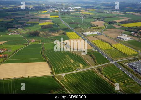 Gewerbegebiet InlogPark Hamm an der Stadtgrenze Boenen, Autobahn A2, Hamm, Ruhrgebiet, Nordrhein-Westfalen, Deutschland, DE, Europa, Luftaufnahme, b Stockfoto