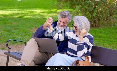 Seniorenpaar mit einem Laptop im Freien in einem Park und feiert gute Nachrichten Stockfoto