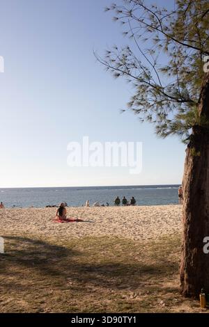 Flic en FLAC ist ein langer, beliebter Strand an der Westküste von Mauritius Stockfoto