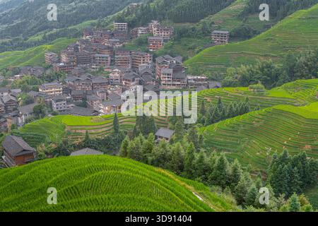 Longji-Reisterrassen auf dem Yaoshan-Berg in Guangxi, China, Sonnenaufgangslicht Stockfoto
