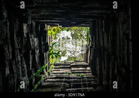 Naturkonzept. Blick vom Boden der tiefen Steingrube in alten Ruinen mit Blick auf grüne Blätter und das Himmelssymbol für Hoffnung und Freiheit Stockfoto