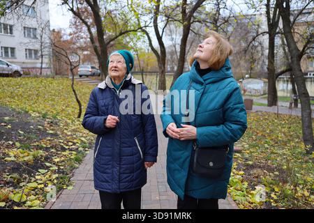 Zwei ältere Damen, Mutter und Tochter, laufen an einem Herbsttag im Park, reden und lachen. Stockfoto