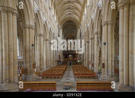 Das Beverley Minster in East Yorkshire ist eine der schönsten gotischen Kirchen Europas und ein Meisterwerk mittelalterlicher Architektur. Sie wurde um 1120 als Augustiner-Stiftskirche begonnen, die ein früheres angelsächsisches Kloster ersetzte, das von St. John of Beverley gegründet wurde, und wurde 1220–1420 weitgehend in strahlenden frühen englischen, dekorierten und rechtwinkligen Stilen umgebaut. Berühmt für seine zwei Westtürme, exquisiten Steinschnitzereien aus dem 14. Jahrhundert (einschließlich musikalischer Engel und Spielfiguren), das hoch aufragende Schiff und den einzigartigen Laufradkran aus dem 16. Jahrhundert, der noch immer in situ ist, ist es mit vielen Kathedralen in Größe und Schönheit konkurrieren. Ein Ort der Pilgerreise für uns Stockfoto