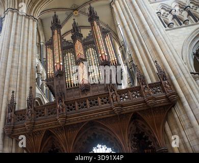 Das Beverley Minster in East Yorkshire ist eine der schönsten gotischen Kirchen Europas und ein Meisterwerk mittelalterlicher Architektur. Sie wurde um 1120 als Augustiner-Stiftskirche begonnen, die ein früheres angelsächsisches Kloster ersetzte, das von St. John of Beverley gegründet wurde, und wurde 1220–1420 weitgehend in strahlenden frühen englischen, dekorierten und rechtwinkligen Stilen umgebaut. Berühmt für seine zwei Westtürme, exquisiten Steinschnitzereien aus dem 14. Jahrhundert (einschließlich musikalischer Engel und Spielfiguren), das hoch aufragende Schiff und den einzigartigen Laufradkran aus dem 16. Jahrhundert, der noch immer in situ ist, ist es mit vielen Kathedralen in Größe und Schönheit konkurrieren. Ein Ort der Pilgerreise für uns Stockfoto