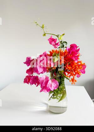 Ein farbenfroher Blumenstrauß mit leuchtend rosa Bougainvillea und leuchtend orangen Feuerwerkskörper-Blumen, die in einer einfachen Glasvase auf einem weißen Tisch angeordnet sind. Stockfoto