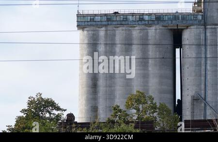 Industriebonsilos mit vertikalen Lagerungssäulen, die teilweise von Bäumen eingerahmt und von Freidrähten durchzogen sind. Das Bild bietet eine sichtbare Struktur Stockfoto