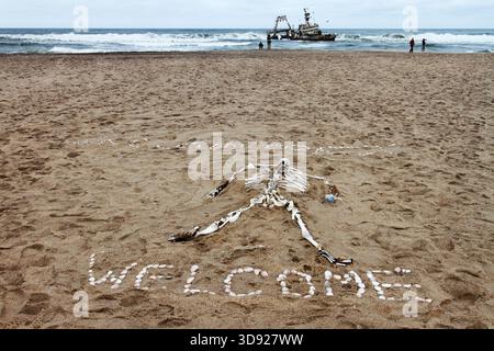 Vögel, die an einem bewölkten grauen Tag an der Skeleton Coast in Namibia, Afrika, rostige Schiffswracks erobern Stockfoto