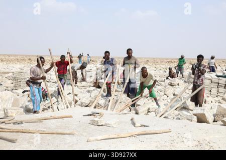 Eine Kooperative von Afar-Salzbergwerken, die gemeinsam große Salzplatten aus der Erde in der Danakil-Depression in Äthiopien aufhebeln. Stockfoto