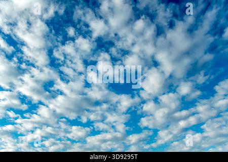 GESCHWOLLENE WEISSE CUMULUS WOLKEN UNTER KLAREM BLAUEN HIMMEL Stockfoto