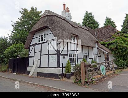 Midforest Vetinary Practice, in Glenber Cottage, Beechen Lane, Lyndhurst, Hampshire Stockfoto
