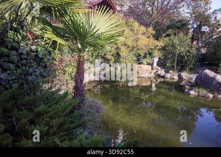 Üppige Gartenszene mit einer hohen Palme neben einem reflektierenden Teich, mit Felsen, Steinstatuen und dichtem tropischem Laub unter weichem Licht. Stockfoto