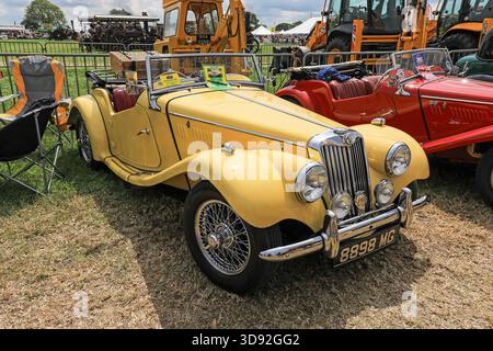 Ein 1954 MG TF 1250 Midget Sportwagen auf der Smallwood Vintage Rally, Sandbach, Cheshire, England, Großbritannien Stockfoto