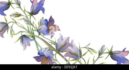 Ein rechteckiger Rahmen mit Blauglocken auf einem isolierten Hintergrund. Aquarellillustration von Wildblumen in natürlichen Farben. Botanische Blumenschablone mit Stockfoto