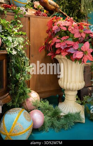 Eine lebendige Innenausstellung mit roten Weihnachtsstern in einer cremefarbenen Vase, umgeben von immergrünen Grüntönen, dekorativen Kugeln und hängenden Ornamenten Stockfoto