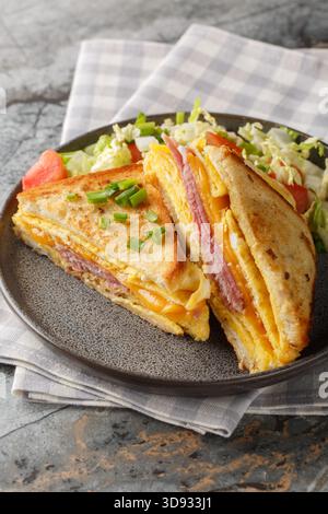 One-Pan Egg Sandwich mit Schinken und Käse in der Nähe auf dem Teller auf dem Tisch. Vertikal Stockfoto