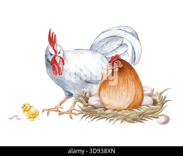 Eine Komposition mit einem weißen Hahn, einem braunen Legehennen und einem Huhn auf einem isolierten Hintergrund. Aquarellillustration einer Hühnerfamilie in A Stockfoto