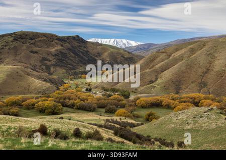 Cluden Creek im Lindis Valley, Central Otago, South Island, Neuseeland. Herbst (Mai) 2025. Stockfoto