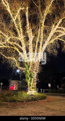 ISERLOHN, DEUTSCHLAND – 27. NOVEMBER 2025: Großer Weihnachtsbaum mit Lichtern und Girlanden vor dem Restaurant El Toro Stockfoto